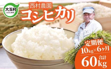   RVqJ 60kg ( 10kg × 6 ) s ߘa7N t  ʑ _  b Ђ   6  R   RVqJ    RVqJ  b nm-kh10-t6-R7