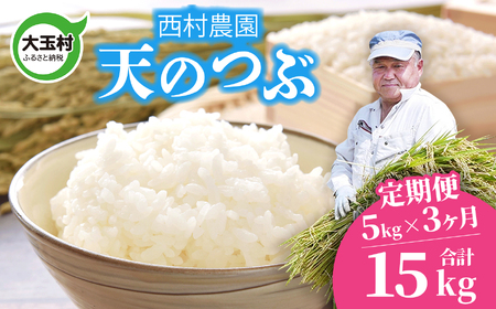 米 定期便 天のつぶ 15kg ( 5kg × 3ヶ月 ) [ 令和6年 ] 福島県 大玉村 西村農園 新米 | てんのつぶ テンノツブ 精米 定期 3回 コメ | nm-tt05-t3-R6