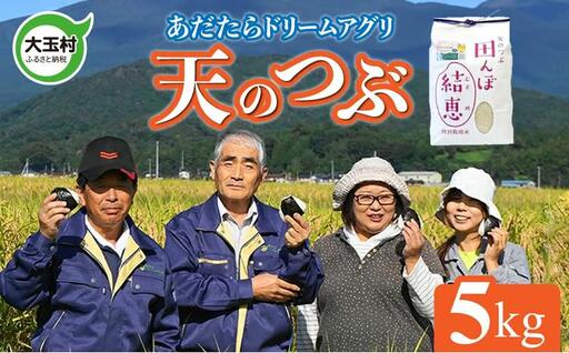 令和7年産 天のつぶ 白米 5kg | 福島県産米 あだたらドリームアグリ