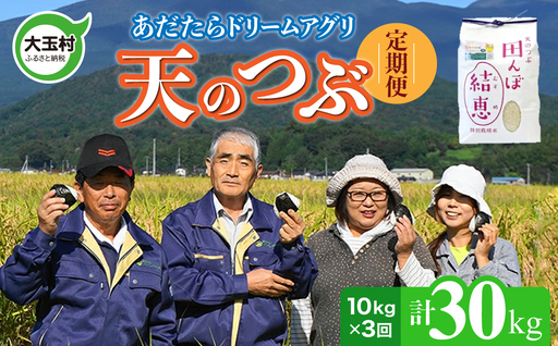 特別栽培米 30kg（毎月10kg×3回） 白米 天のつぶ 特別栽培米 精米