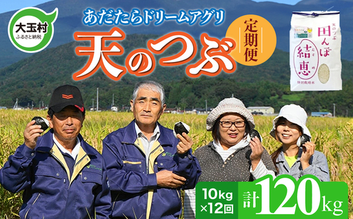 特別栽培米 120kg（毎月10kg×12回） 白米 天のつぶ 特別栽培米 精米