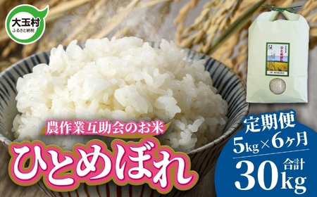 ひとめぼれ[6回定期便]新米 精米 令和6年産 福島県産ひとめぼれ 計 30kg ( 5kg × 6回 ) ひとめぼれ [ 農作業互助会 福島県 大玉村 ] | gj-hb05-t6-R6