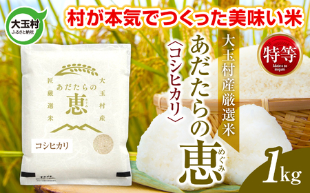 米 大玉村産厳選米「あだたらの恵」特等(品種:コシヒカリ) 1kg [ 令和7年産 ]| 福島 大玉村 お米 米作り こしひかり 令和7年 精米 白米 こめ コメ ご飯 送料無料 大玉村農業振興公社 | on-akt-1kg-r7