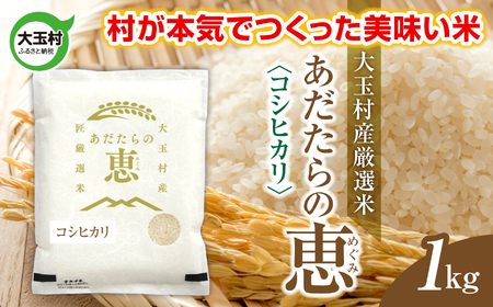 米 大玉村産厳選米「あだたらの恵」(品種:コシヒカリ) 1kg [ 令和7年産 ]| 福島 大玉村 お米 米作り こしひかり 令和7年 精米 白米 こめ コメ ご飯 送料無料 大玉村農業振興公社 | on-ak-1kg-r7
