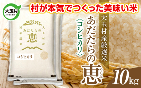  ʑYIāǔbviiFRVqJj 10kg s ߘa7NY  tb  ʑ  č Ђ ߘa7N    R   ʑ_ƐU b on-