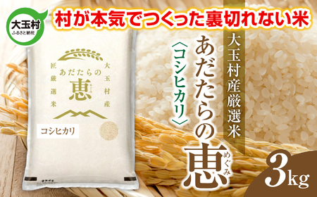  ʑYIāǔbviiFRVqJj 3kg s ߘa7NY  tb  ʑ  č Ђ ߘa7N    R   ʑ_ƐU b on-a