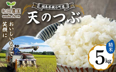 〈先行予約 2025年産米〉 福島県鏡石町産 和田農園「天のつぶ」精米 5kg 米 コメ こめ  F6Q-328