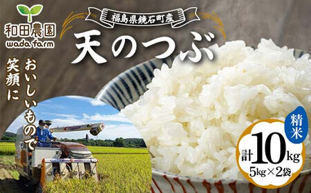 〈先行予約 2025年産米〉 福島県鏡石町産 和田農園「天のつぶ」精米 10kg（5kg×2袋） 米 コメ こめ  F6Q-329