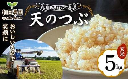〈先行予約 2025年産米〉 福島県鏡石町産 和田農園「天のつぶ」玄米 5kg 米 コメ こめ  F6Q-331