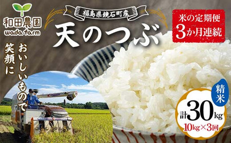 〈先行予約 2025年産米〉【米の定期便】福島県鏡石町産 和田農園「天のつぶ」精米 10kg 3か月連続 米 コメ こめ  F6Q-334