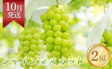s\10 VC}XJbg 2[i1.5kg`2kgj Ԃǂ uhE  t[c ʕ  Β  F6Q-144