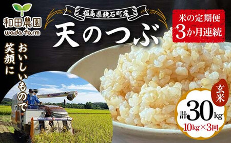 〈先行予約 2025年産米〉【米の定期便】福島県鏡石町産 和田農園「天のつぶ」玄米10kg 3か月連続  F6Q-336