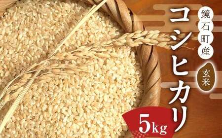 鏡石町産コシヒカリ玄米 5kg 米 コメ こめ F6Q-224