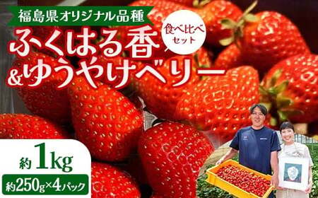【先行予約】福島県オリジナル品種「ふくはる香」「ゆうやけベリー」食べ比べセット約１kg（250g×4パック） いちご イチゴ 苺 福島県 鏡石町 鏡石農遊園  F6Q-228