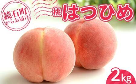 s\񁄕IWii  ͂Ђ2kg i7ʁ`10ʁj  t[c ʕ F6Q-349