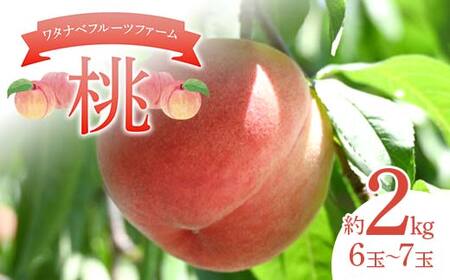 ワタナベフルーツファームの桃 約2kg (6玉〜7玉) もも モモ フルーツ 果物 F6Q-337