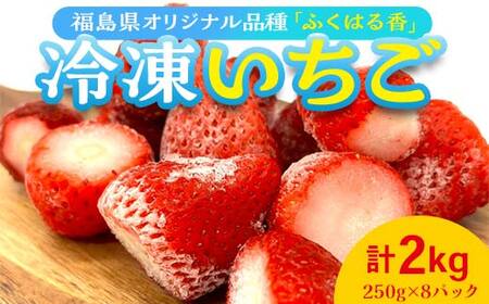 冷凍いちご 福島県オリジナル品種「ふくはる香」2kg(250g×8) いちご イチゴ 苺 福島県 鏡石町 鏡石農遊園 F6Q-345