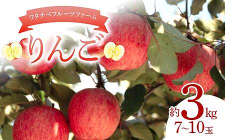 ^ixt[ct@[̂ 3kgi7`10ʁj S t[c ʕ F6Q-385