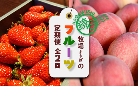 [2026年から発送開始]大人気!鏡石町 まきばのフルーツ定期便(いちご 約500g・桃 約2kg)イチゴ 苺 モモ もも 福島県 鏡石町 F6Q-386