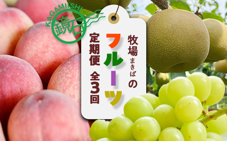 [2026年から発送開始]鏡石町 まきばのフルーツ定期便(桃 約2kg・和梨 約3kg・シャインマスカット2房)モモ もも ナシ なし ブドウ ぶどう 福島県 鏡石町 F6Q-388