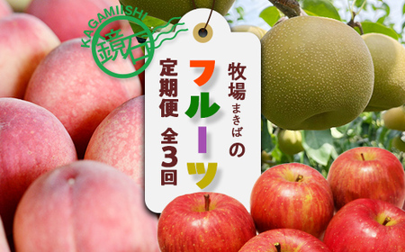 [2026年発送]鏡石町 まきばのフルーツ定期便(桃2kg・和梨3kg・りんご5kg)モモ もも ナシ なし リンゴ 福島県 鏡石町 F6Q-390