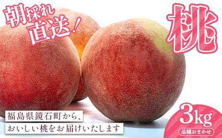 ���̂꒼���I��3kg�i9�ʁ`14�ʁj�i�킨�܂��� ���� �t���[�c �ʕ� �f�U�[�g F6Q-426