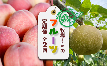 [2026年発送]鏡石町 まきばのフルーツ定期便(桃 約5kg・和梨 約5kg) モモ もも ナシ なし 福島県 鏡石町 F6Q-412