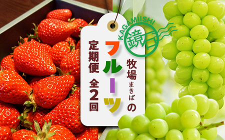 [2026年から発送開始]鏡石町 まきばのフルーツ定期便(いちご 約500g・シャインマスカット2房) イチゴ 苺 ブドウ ぶどう 福島県 鏡石町 F6Q-419