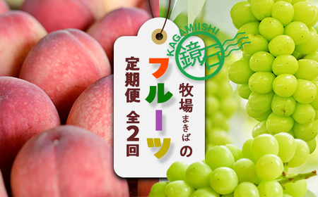 [2026年から発送開始]鏡石町 まきばのフルーツ定期便(桃 約3kg・シャインマスカット2房)モモ もも ブドウ ぶどう 福島県 鏡石町 F6Q-423