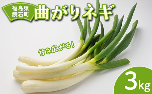 [先行予約]甘さ広がる 鏡石町産 曲がりネギ 3kg サイズ不揃い 家庭用 白ねぎ 葱 F6Q-480
