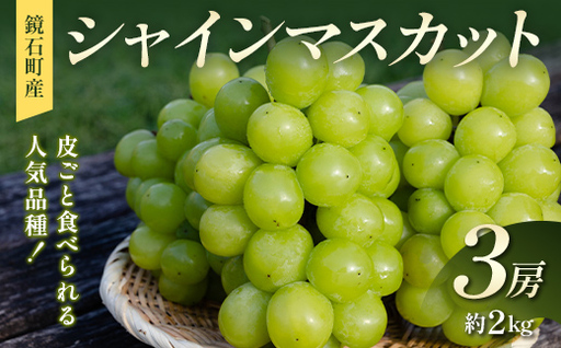 皮ごと食べられる人気品種!鏡石町産 シャインマスカット 3房(約2kg)マスカット ぶどう ブドウ 葡萄 デザート フルーツ 果物 くだもの 果実 食品 F6Q-485