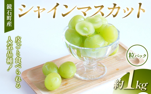 [粒パック]皮ごと食べられる人気品種!鏡石町産 シャインマスカット 約1kg 家庭用 マスカット ぶどう ブドウ 葡萄 デザート フルーツ 果物 くだもの 果実 食品 F6Q-486