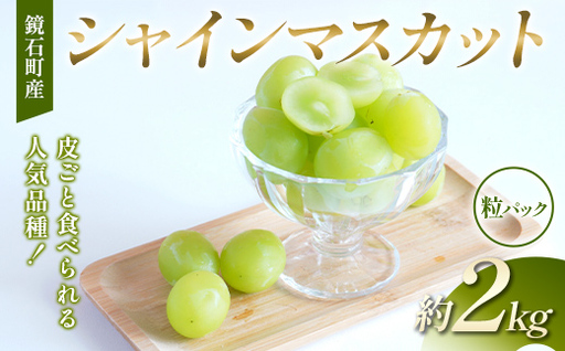 【粒パック】皮ごと食べられる人気品種！鏡石町産 シャインマスカット 約2kg 家庭用 マスカット ぶどう ブドウ 葡萄 デザート フルーツ 果物 くだもの 果実 食品  F6Q-487