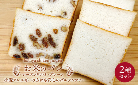 グルテンフリー お米のパン 2種セット 低糖質 糖質オフ ヘルシー 米粉 朝食 パン F21T-239