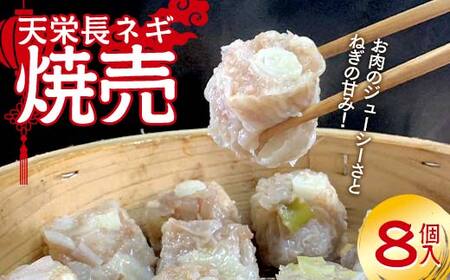 天栄長ネギ 焼売 8個入り 惣菜 中華 冷凍 おかず 葱 ねぎ しゅうまい シュウマイ F21T-324