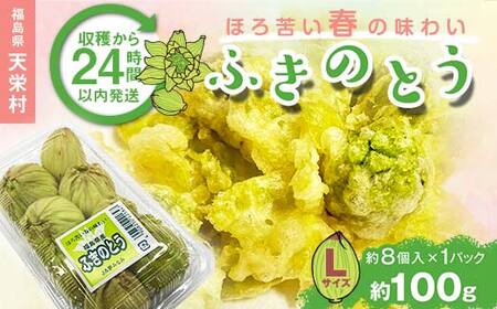 収穫から24時間以内に発送!ほろ苦い春の味わい「ふきのとう」Lサイズ1パック100g(約8個) F21T-347
