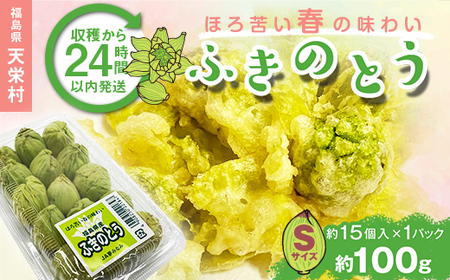 収穫から24時間以内に発送!ほろ苦い春の味わい「ふきのとう」Sサイズ1パック100g(約15個) F21T-351