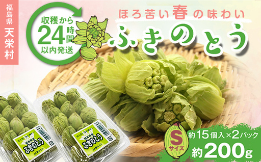 収穫から24時間以内に発送！ほろ苦い春の味わい「ふきのとう」Sサイズ200g（約30個） F21T-352
