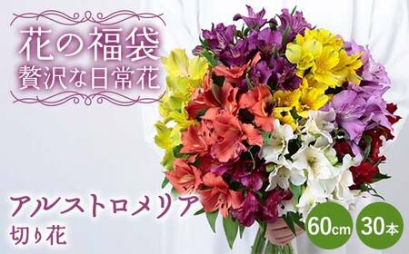 「花の福袋」“贅沢な日常花” アルストロメリア 切り花 60cm 30本 花束 フラワー ご褒美 お祝い ギフト 誕生日 感謝 母の日 父の日 プレゼント 福島県 天栄村 F21T-399