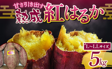 甘さ引き出す 熟成紅はるか 5kg さつまいも L〜LLサイズ サツマイモ さつま芋 甘い おやつ 食品 F21T-472