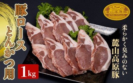 麓山高原豚ロースとんかつ用 1kg(100g×10) 肉 豚肉 ロース とんかつ 東北 福島県 麓山 高原 F21T-043