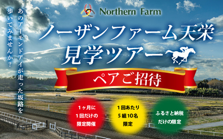 月1回限定開催 ノーザンファーム天栄見学ツアー ペア招待（2025年5月分） ※記念品無し UMAJO 期間限定 東北 福島県 天栄村 競馬 ノーザン 応援 思い出 記念 F21T-315