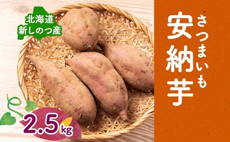 [オンライン決済限定]野菜 新しのつ産 さつまいも(安納芋2.5kg) サツマイモ 芋 イモ 甘い 北海道