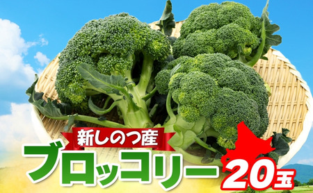 kC V̂Y ubR[ 20 O[ {  Â  Y _앨 JAV̂  VÑ