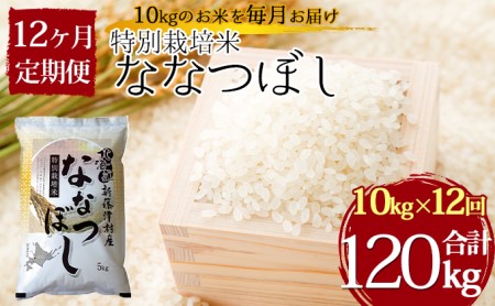 配送員設置送料無料 ふるさと納税 米 定期便 10kg 12ヶ月 令和2年 白米 27 10z 12ヶ月連続お届け 新潟県黒川産コシヒカリ10kg 5kg 2袋 天水田 在庫一掃 Hudsonvalleysportsreport Com