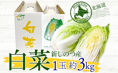 その他の野菜の返礼品 検索結果 | ふるさと納税サイト「ふるなび」