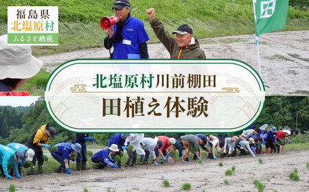 �k��������O�I�c�@�c�A���̌� KBAH002