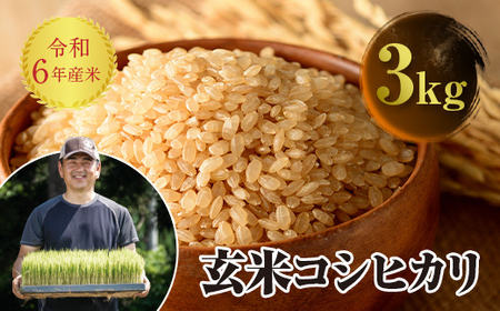 令和6年産 JAS認定 有機栽培米 コシヒカリ 玄米 3kg 米 お米 おこめ ご飯 ごはん 福島県 西会津町
