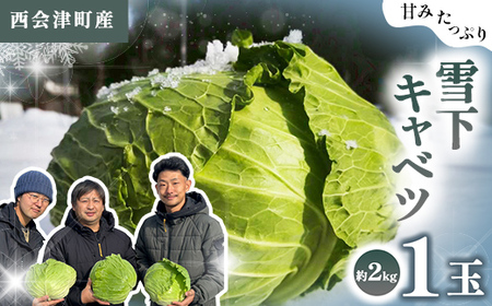 甘みたっぷり 雪下キャベツ 約2kg 野菜 キャベツ 食品 西会津