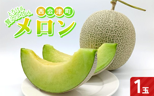 とろける贅沢な甘み メロン1玉 甘い 果物 フルーツ ギフト プレゼント 贈り物 デザート 食品 旬の味わい 予約販売